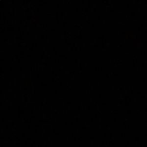 Meet your Posher, Gigi